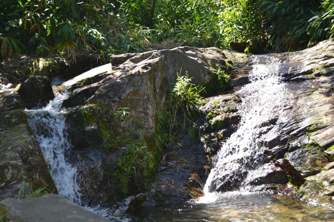 Photo of Others in Paranapiacaba