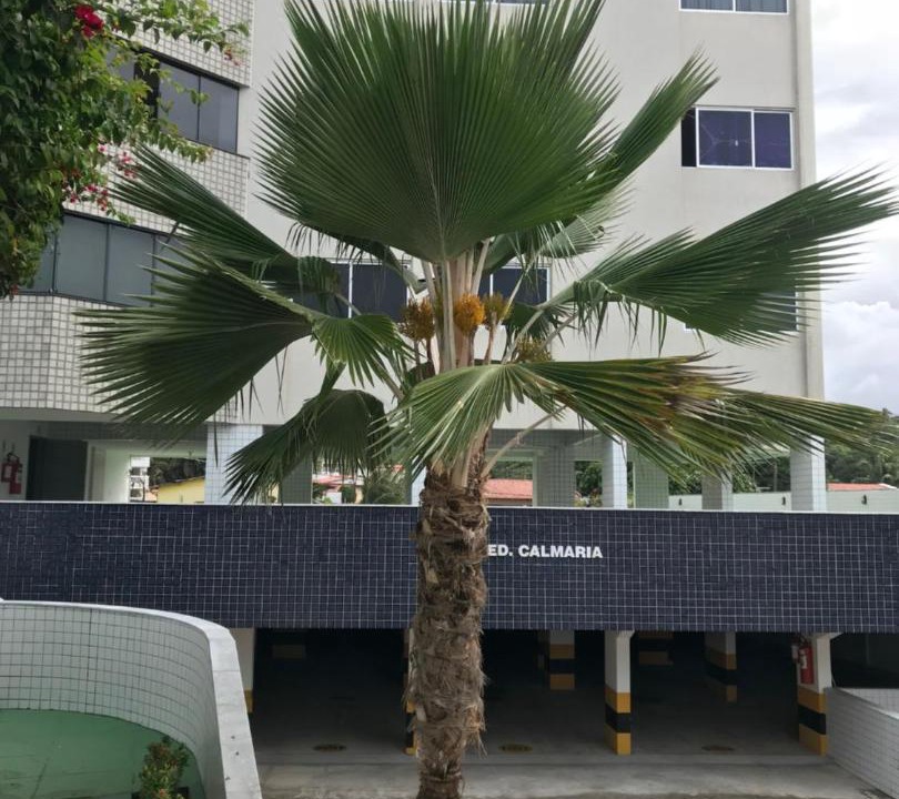 Photo of Buildings in Pirangi do Norte