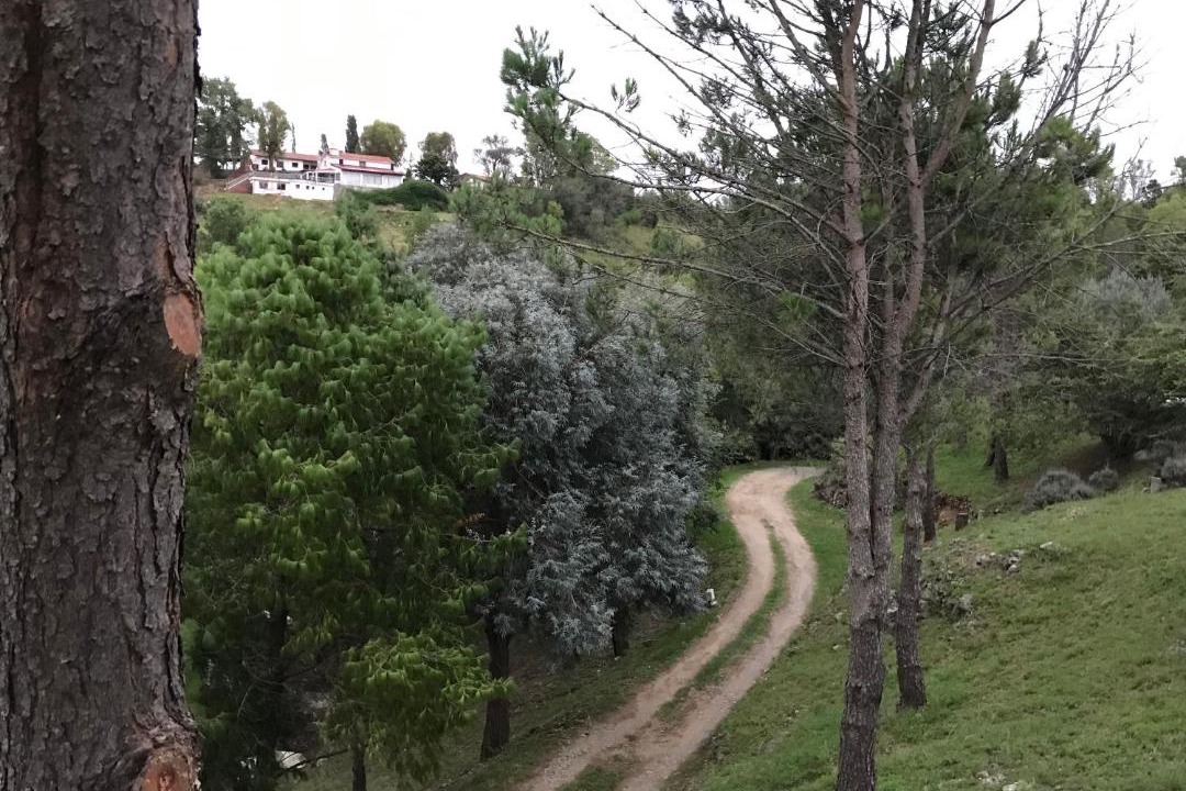 Photo of Others in Alta Gracia