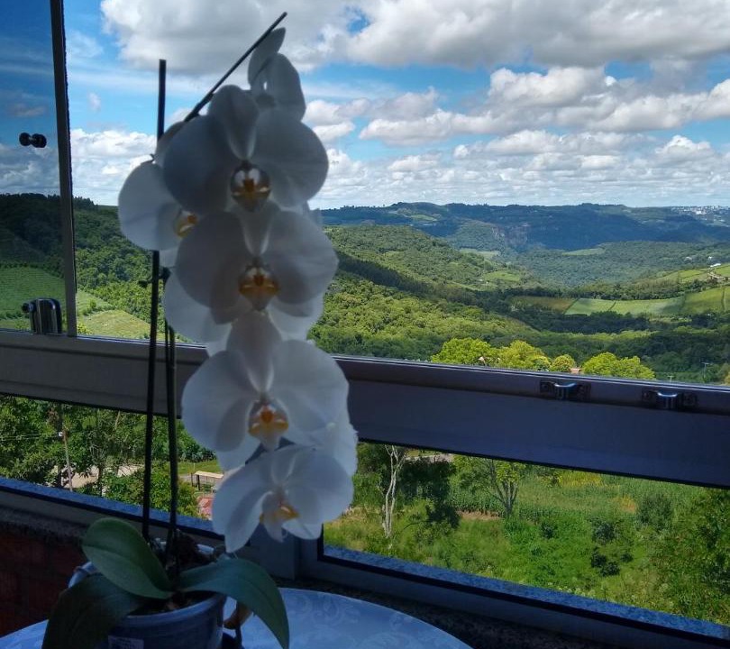 Photo of Others in Monte Belo do Sul