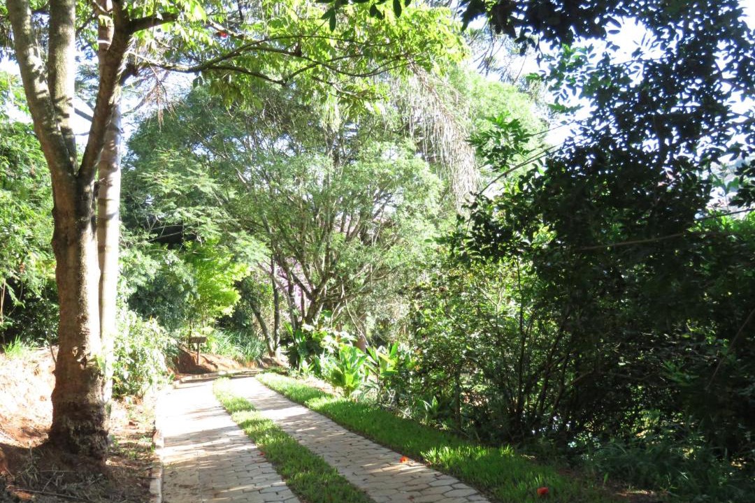 Photo of Others in Sao Lourenco