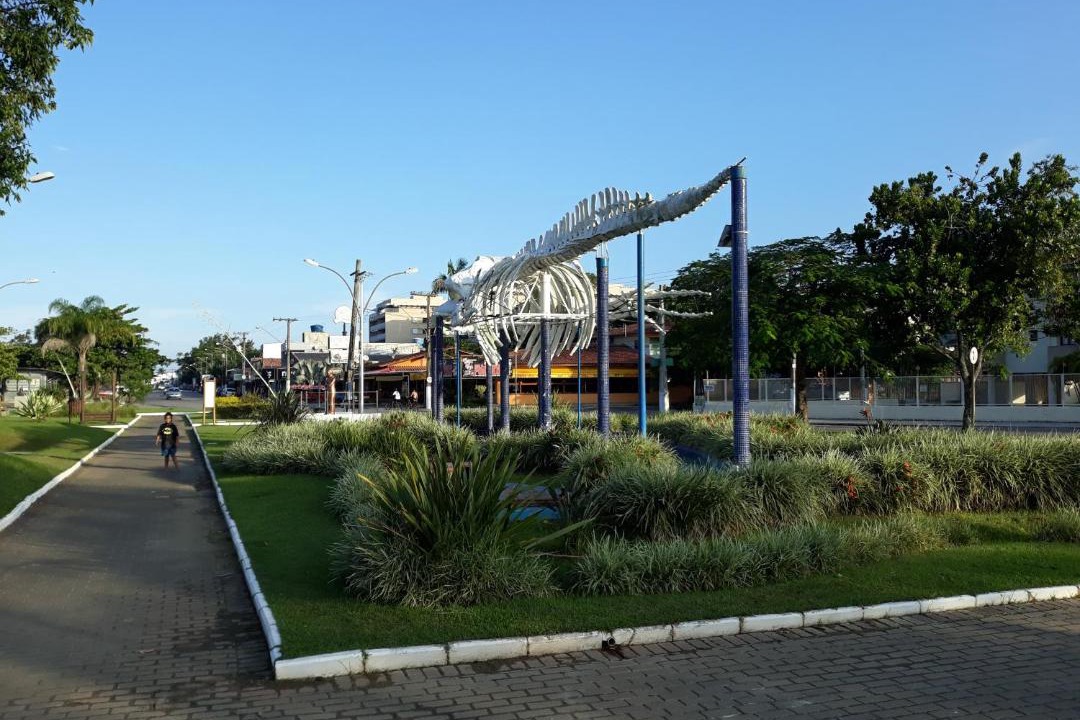 Photo of Others in Barra da Lagoa