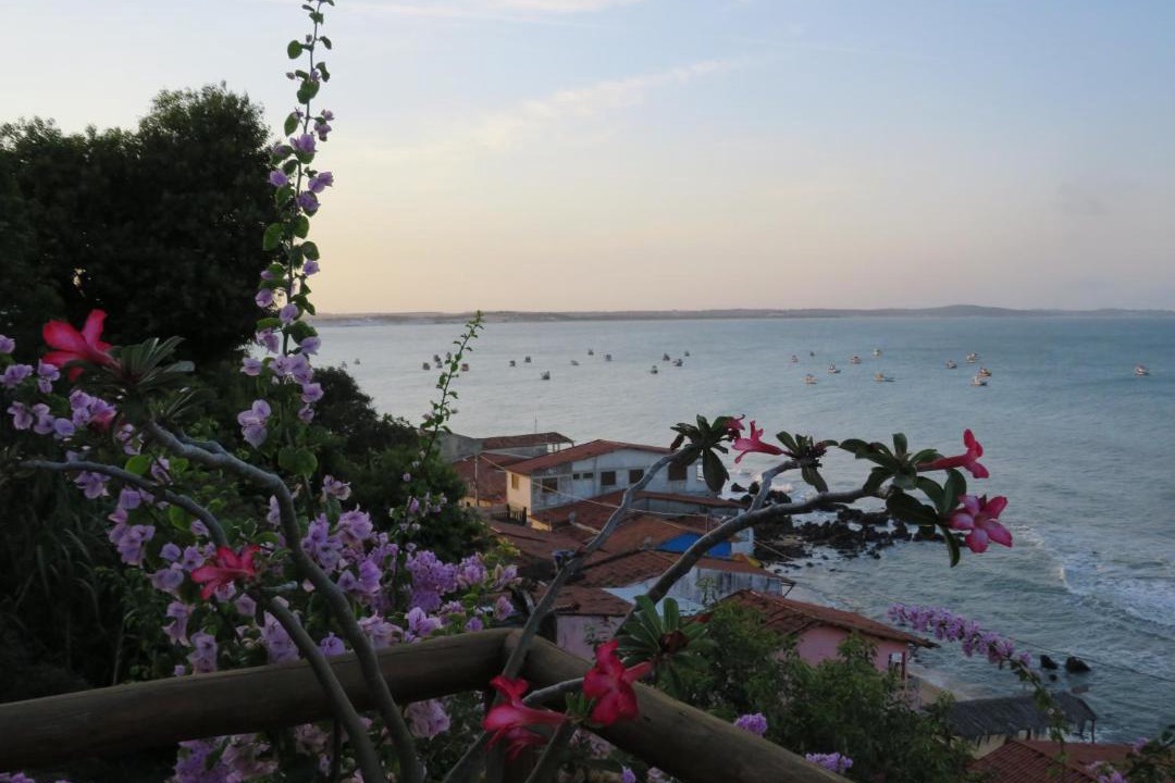 Photo of Others in Baia Formosa