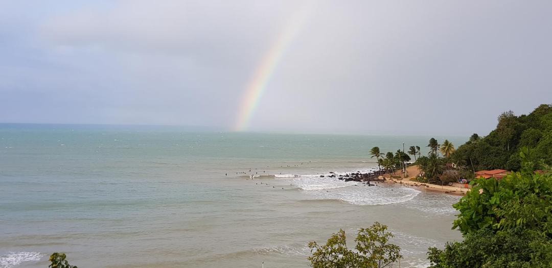 Photo of Others in Baia Formosa