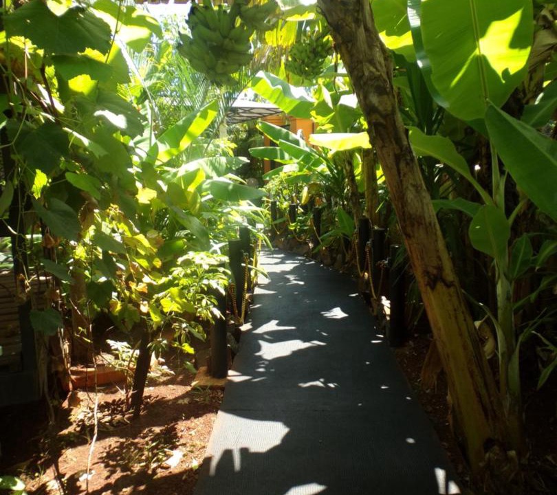 Photo of Others in Puerto Iguazu
