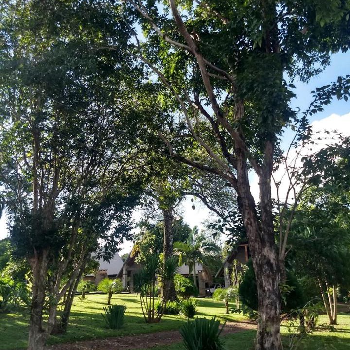 Photo of Others in Obera