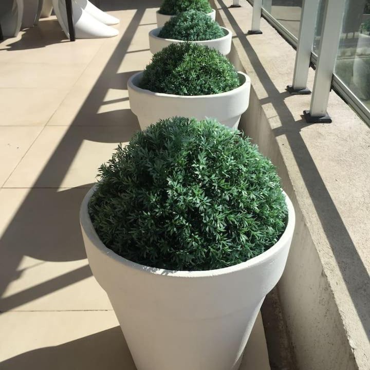 Photo of Patio Balcony in Nordelta