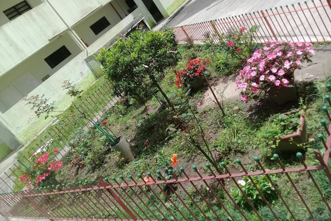 Photo of Buildings in Jardim Rafael