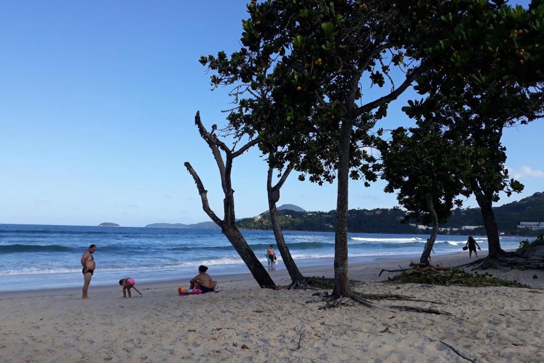Photo of Others in Barra da Lagoa