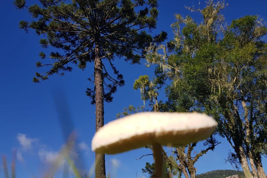 Photo of Outdoor in Urubici