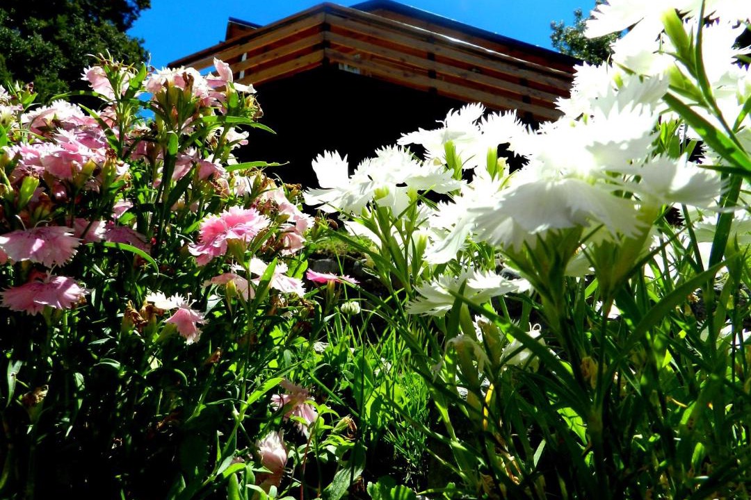 Photo of Outdoor in Belgrano