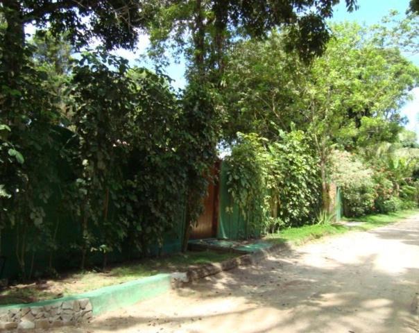 Photo of Others in Trancoso