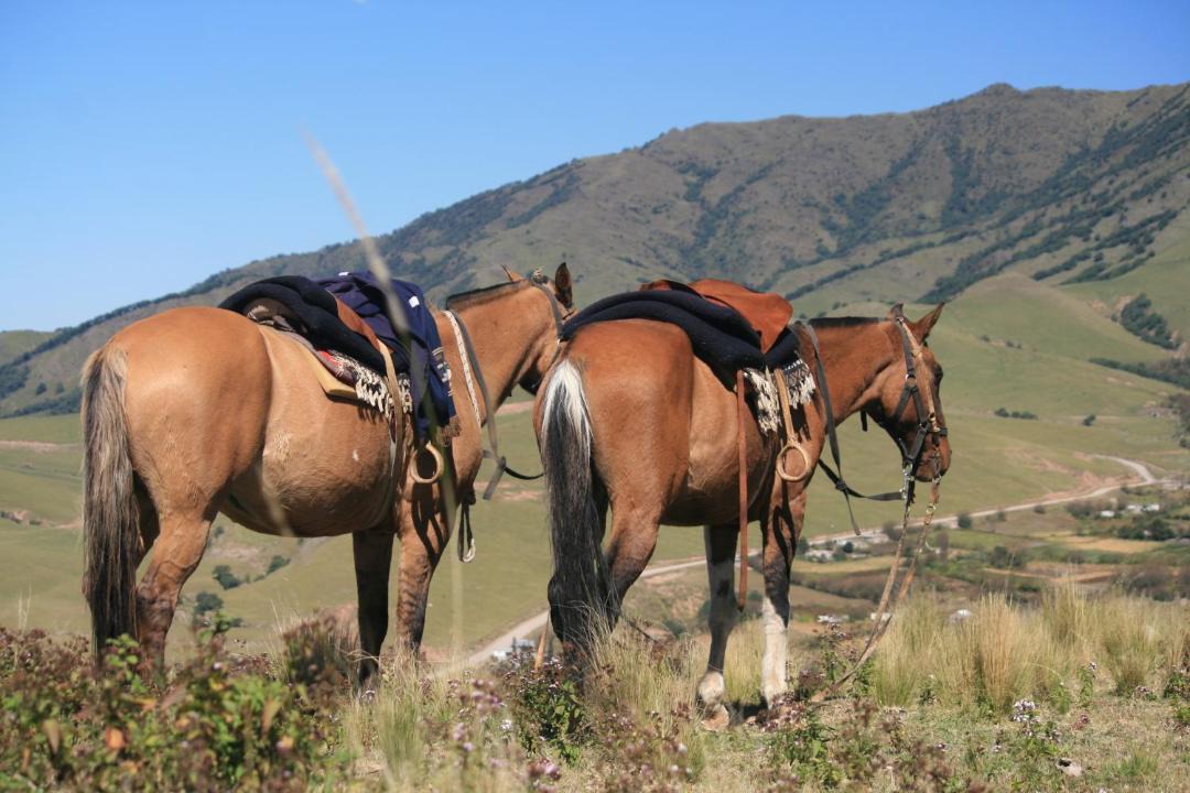 Photo of Others in El Mollar