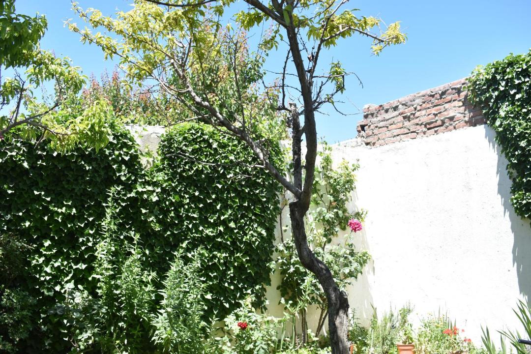 Photo of Others in Zapala