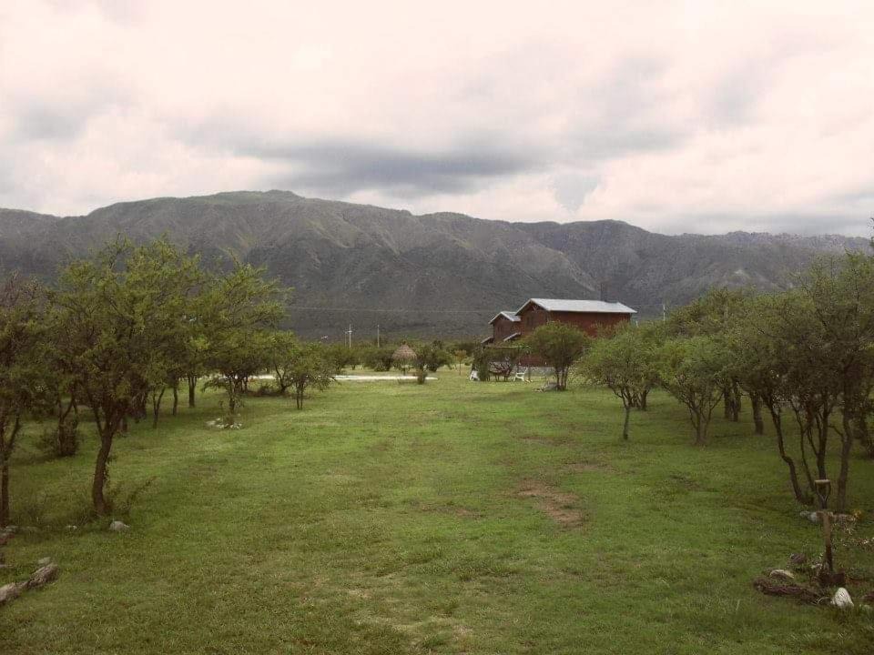 Photo of Others in Cortaderas