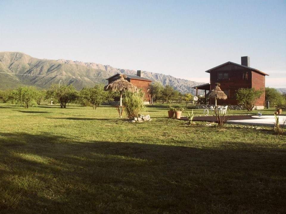 Photo of Others in Cortaderas