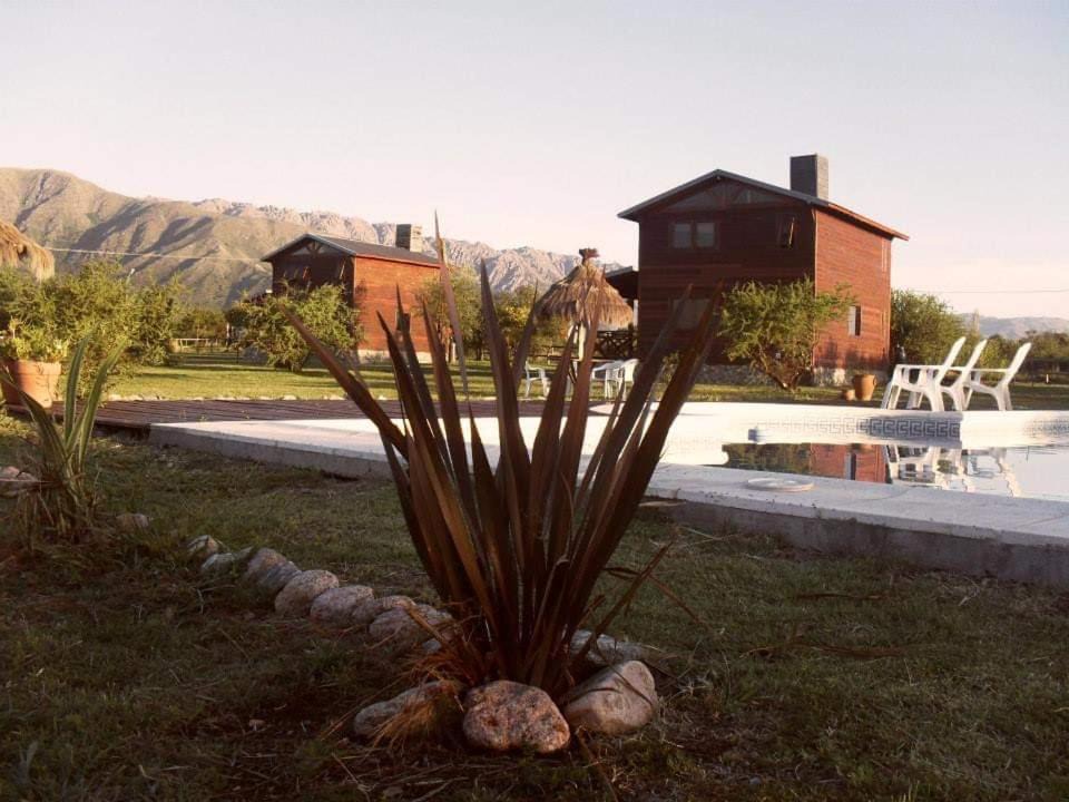 Photo of Others in Cortaderas