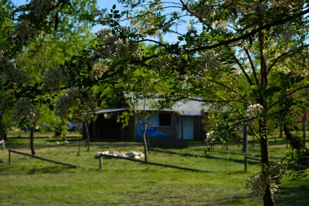 Photo of Others in Alta Gracia