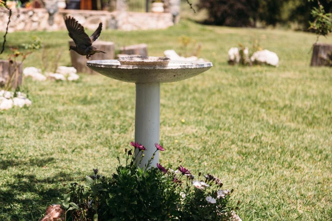 Photo of Others in La Estancia