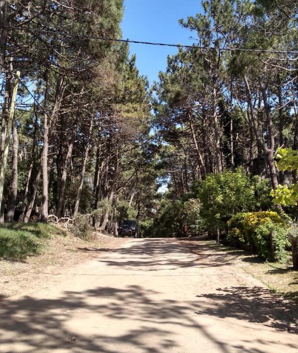 Photo of Others in Las Gaviotas