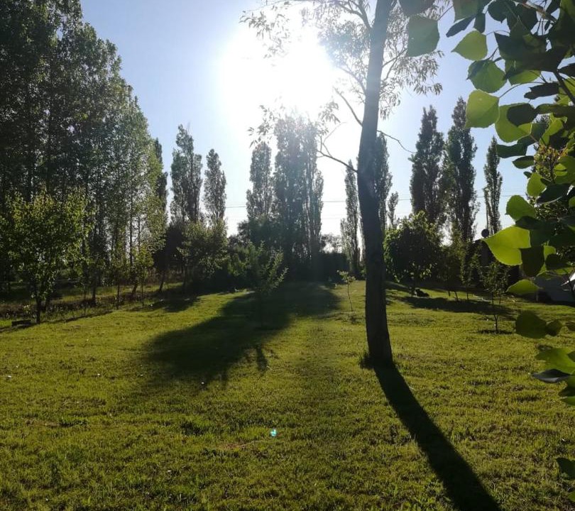 Photo of Others in Cuadro Nacional