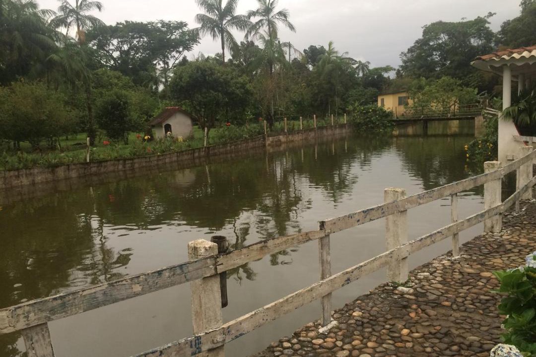 Photo of Others in Peruibe