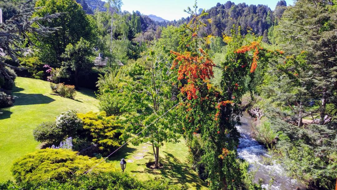 Photo of Others in Lanin National Park
