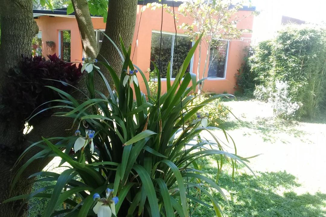 Photo of Others in Parana