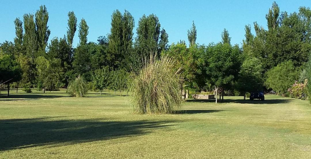 Photo of Others in General Alvear