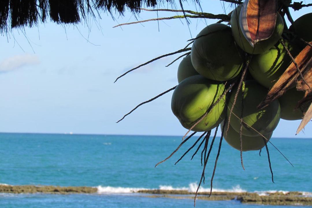 Photo of Others in Tamandare