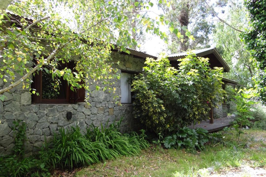 Photo of Others in Bosque Peralta Ramos