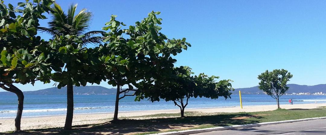 Photo of Outdoor in Centro