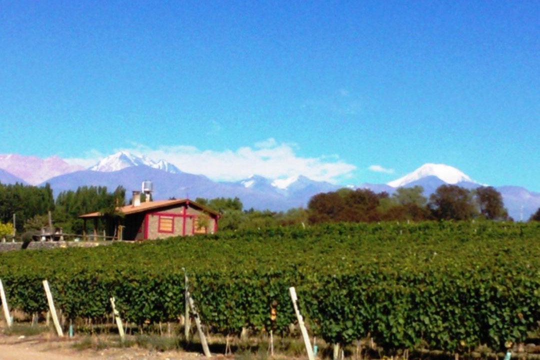 Photo of Others in Tupungato