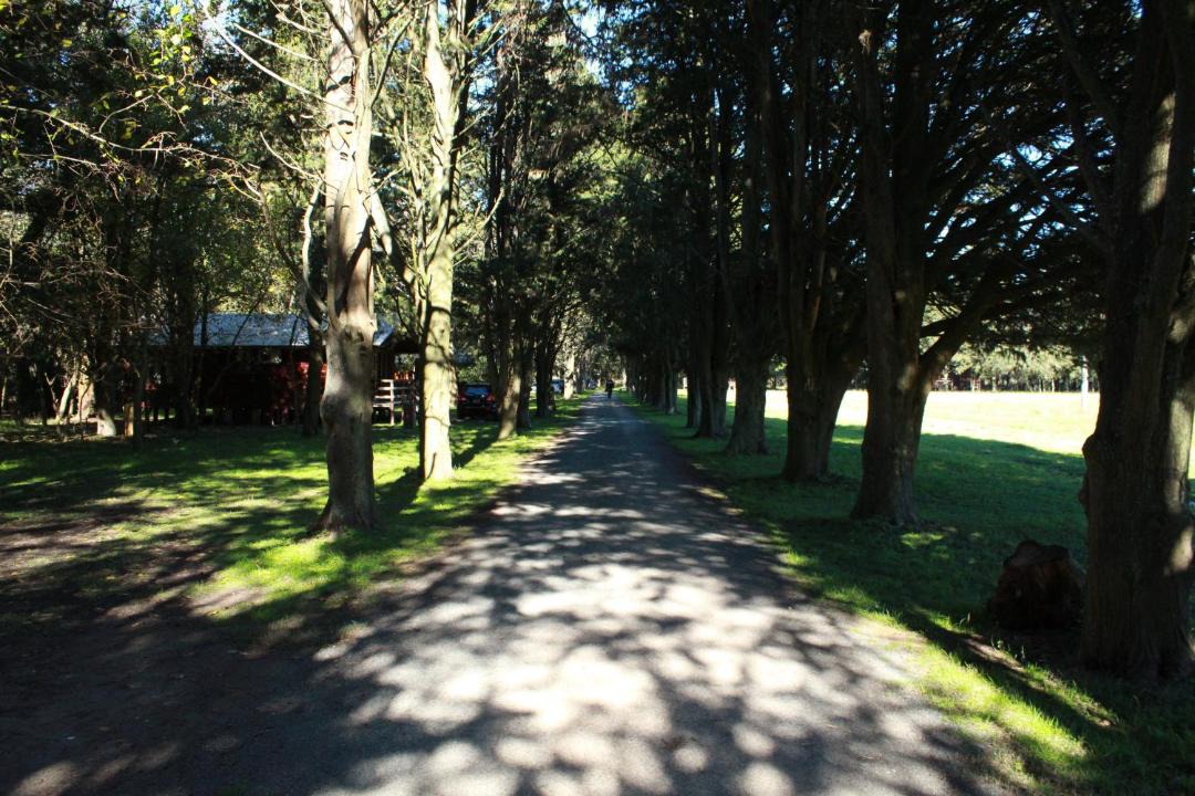 Photo of Others in Chascomus