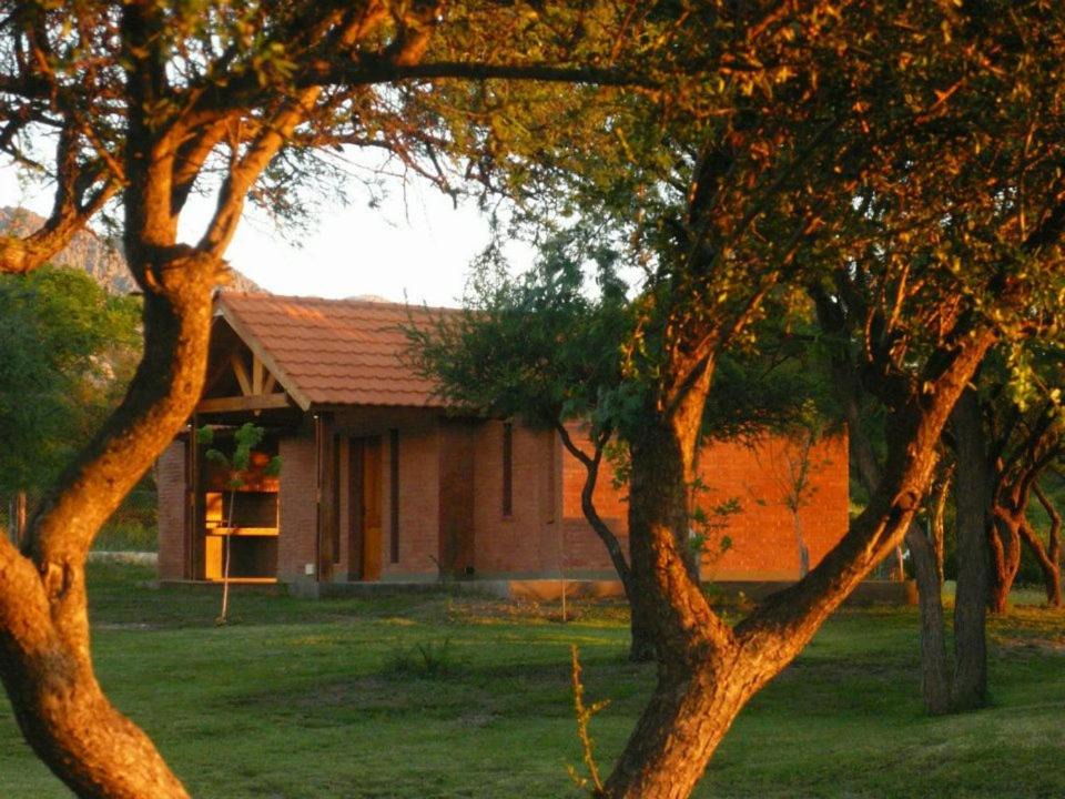Photo of Others in Cortaderas