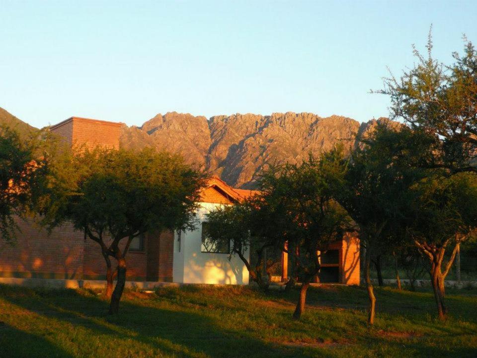 Photo of Others in Cortaderas