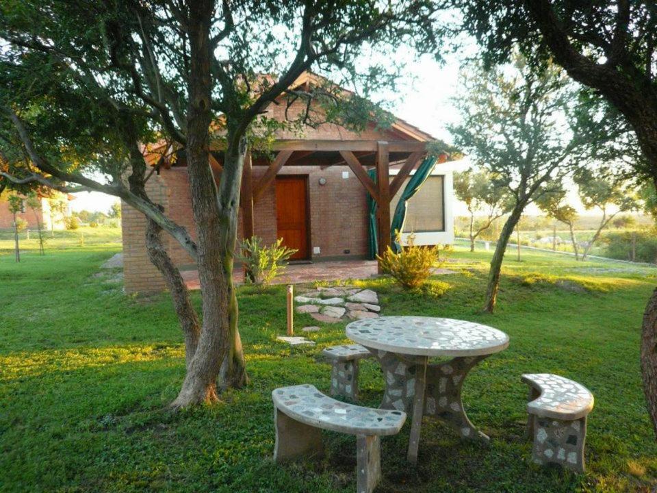 Photo of Others in Cortaderas