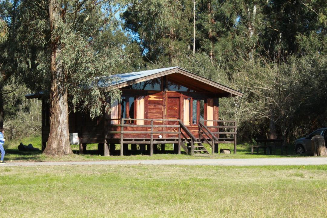 Photo of Others in Chascomus
