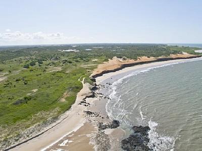 Photo of Others in Zumbi