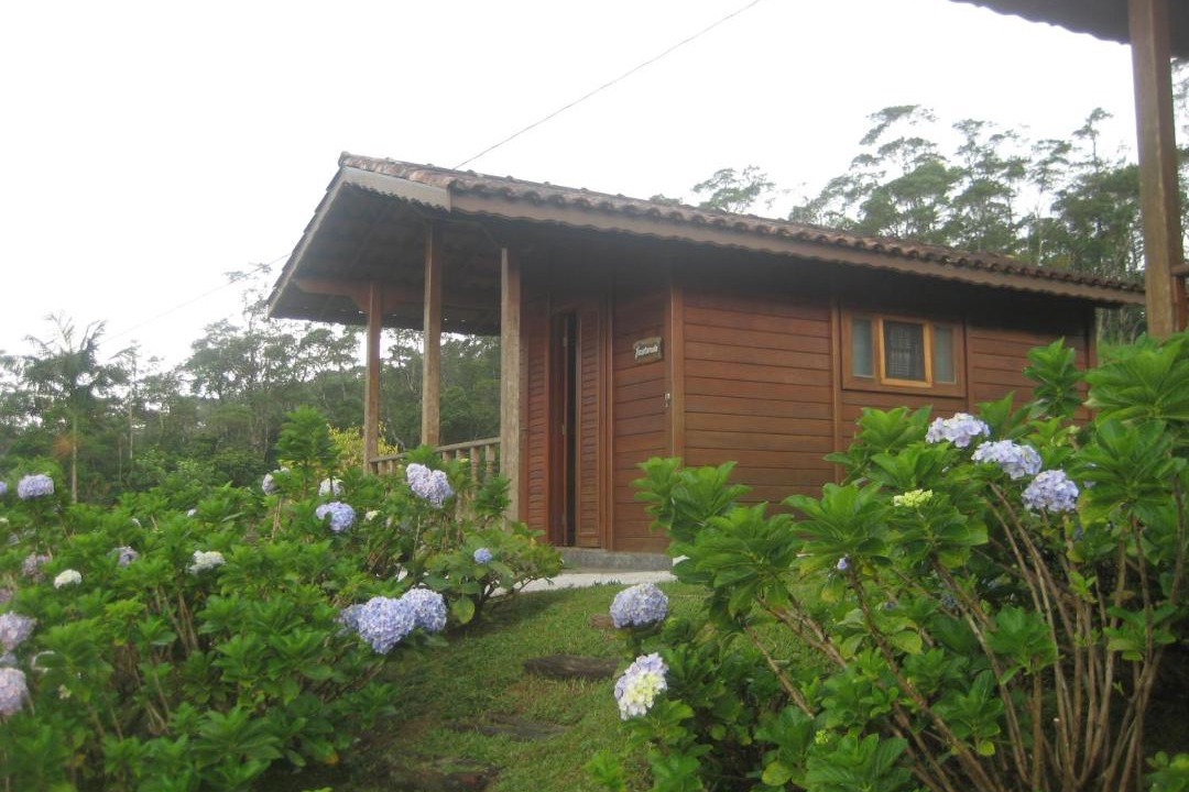 Photo of Others in Pilar Do Sul