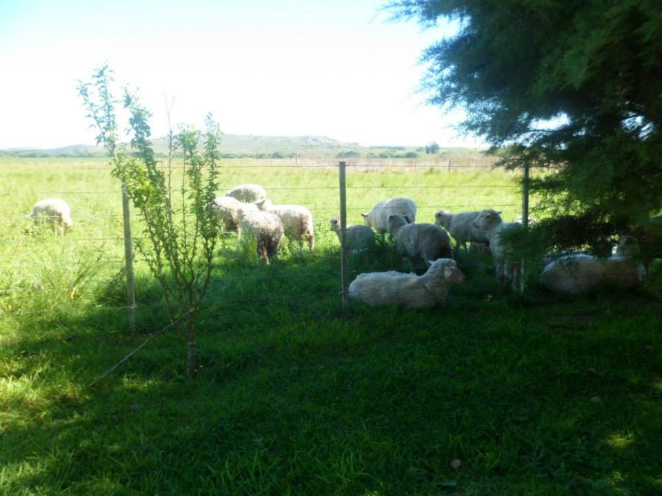 Photo of Outdoor in Cantera Aguirre