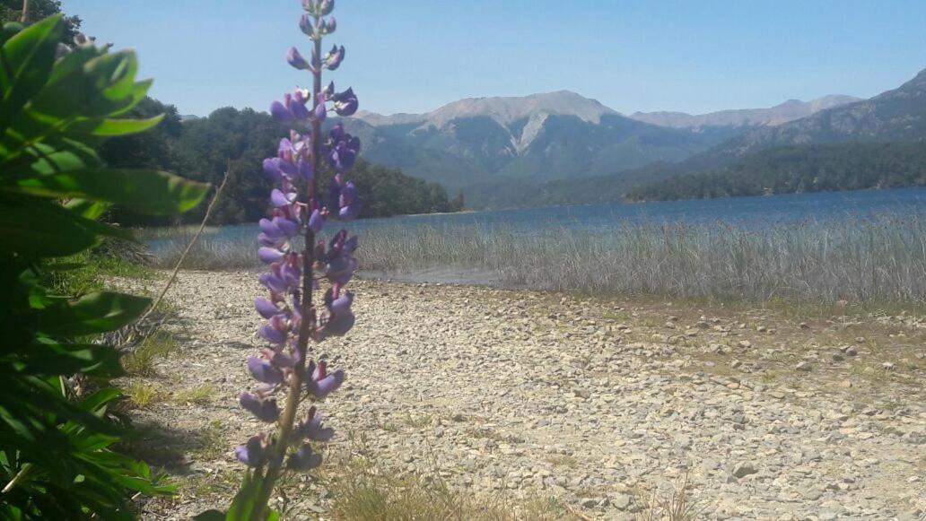 Photo of Others in San Carlos de Bariloche