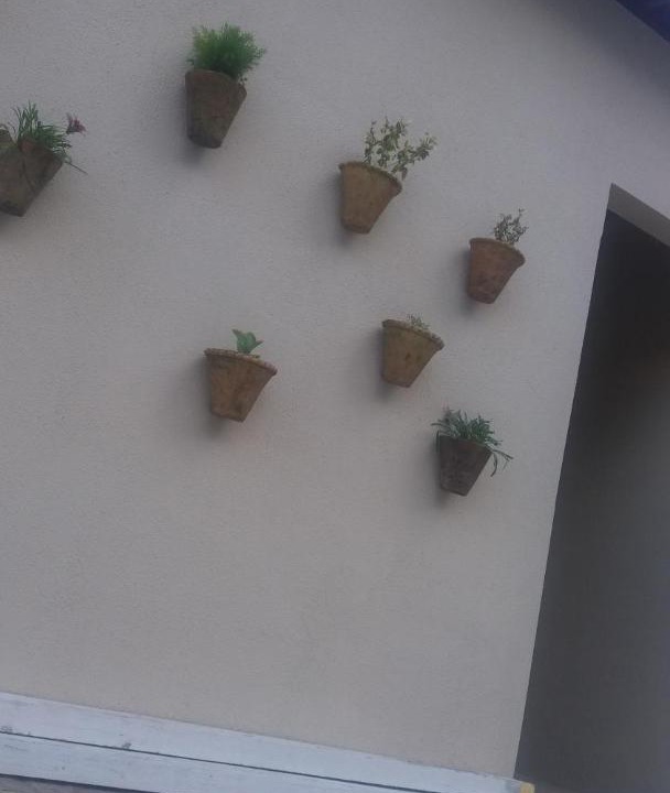 Photo of Others in Bananeiras