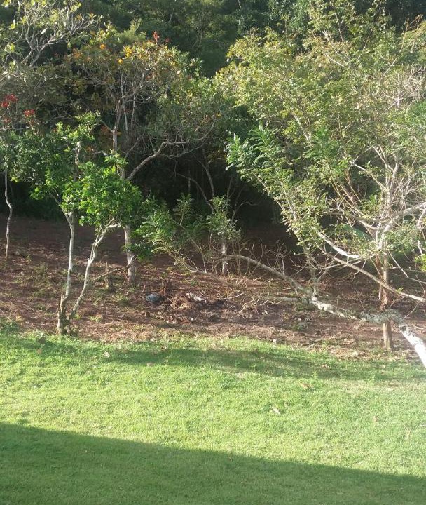 Photo of Others in Bananeiras