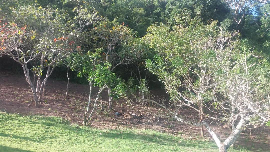 Photo of Others in Bananeiras