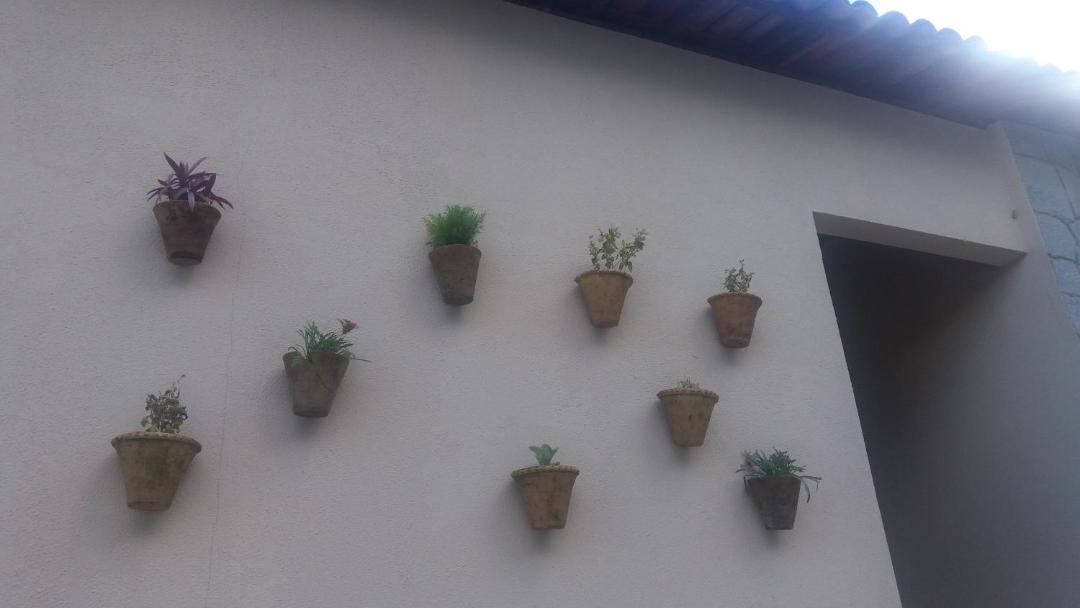 Photo of Others in Bananeiras