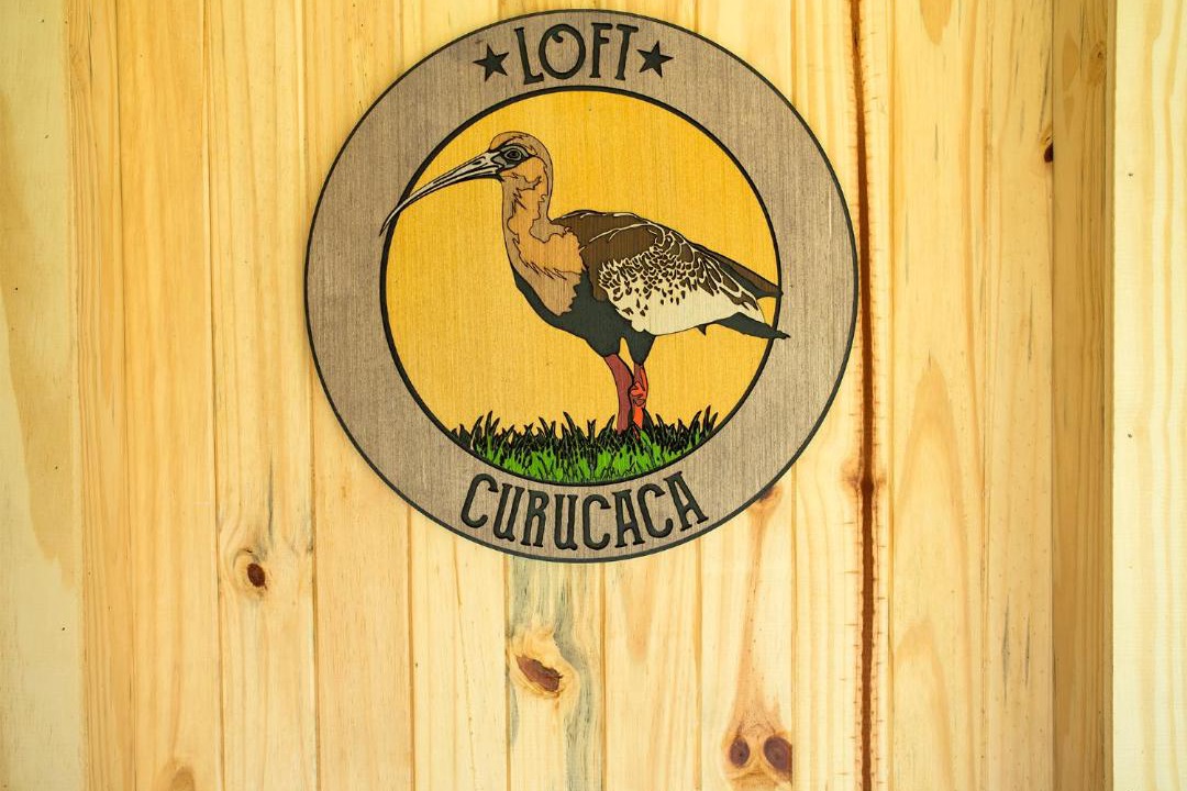 Photo of Others in Urubici