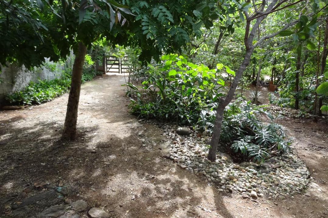 Photo of Others in Cavalcante