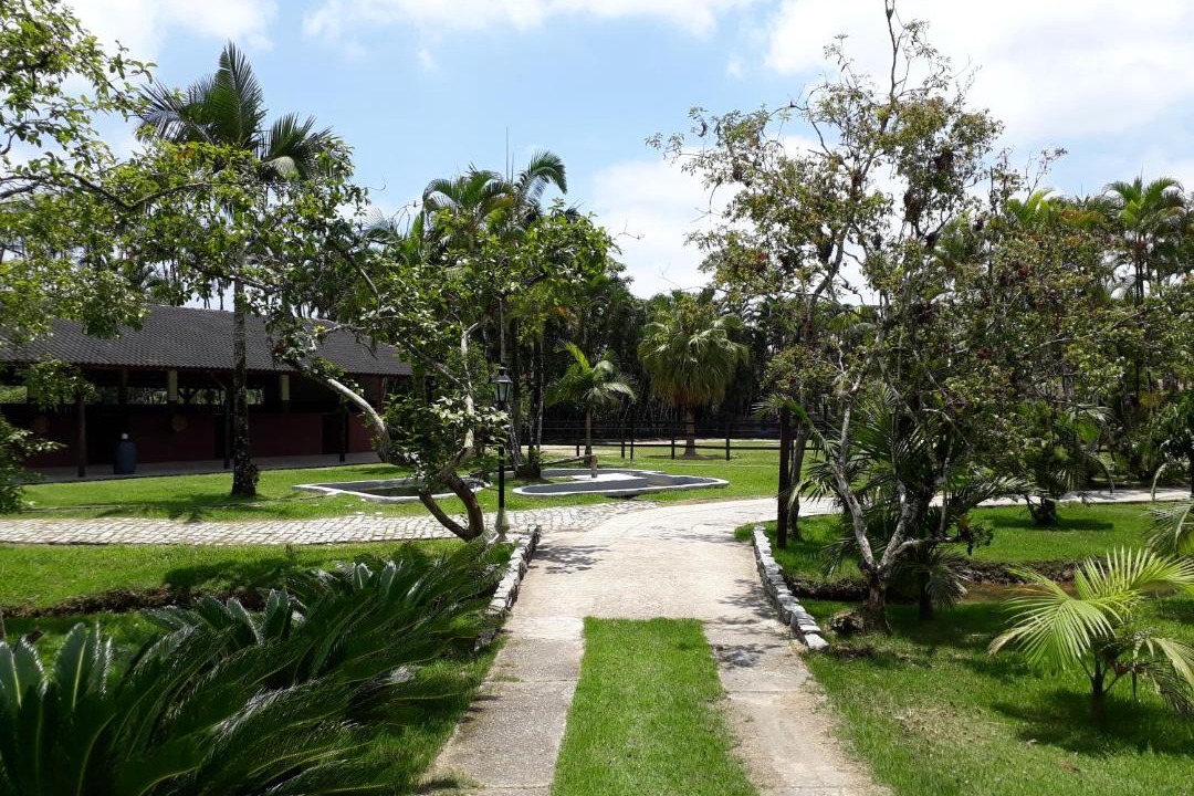 Photo of Outdoor in Peruibe