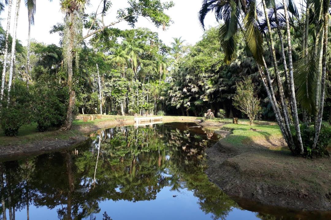 Photo of Outdoor in Peruibe